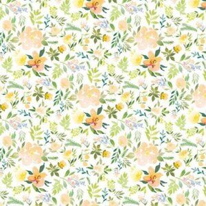 Watercolor Beauty Collection by Jason Yenter from In The Beginning Studio Fabric